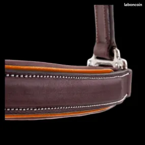 Licol CWD liseré ORANGE